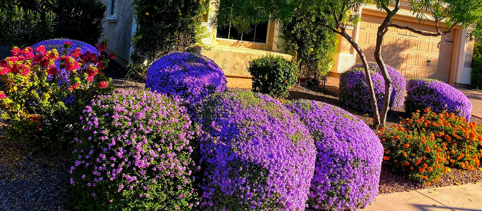 AZ Ezequiel Landscaping
